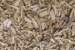 biomass boilers Saval